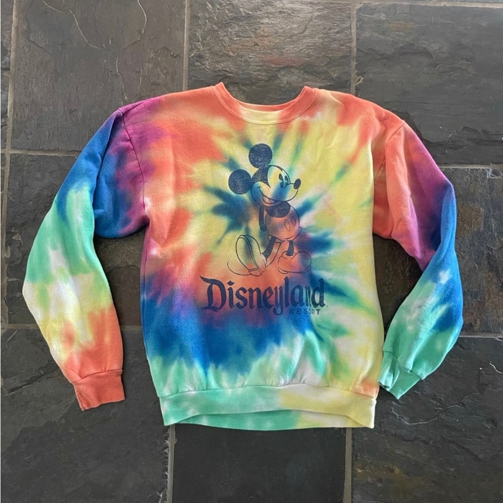 Kids Disneyland Sweatshirt XL